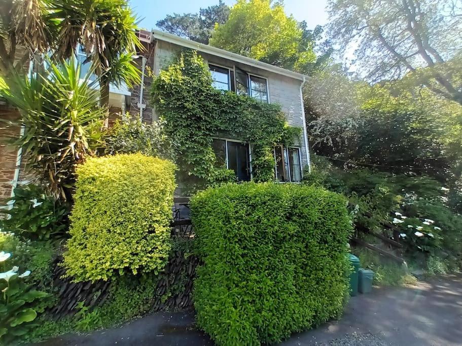 Treetop Cottage At Countisbury Lodge Линмут Екстериор снимка