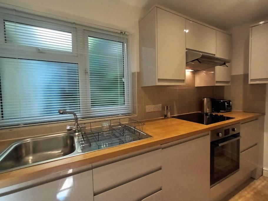 Treetop Cottage At Countisbury Lodge Линмут Екстериор снимка